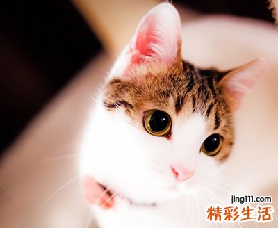 好看的抖音个性网名大全