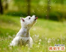 时尚新潮的快手个性网名设计