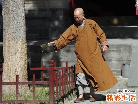 梦见僧人高僧给我指点迷津