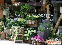 文艺古典的森系花店名字，简约小清新的花店名称