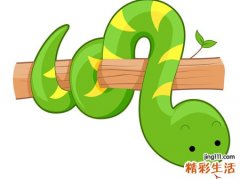 梦见蛇咬人流了好多血，女人梦到蛇咬人预示着什么