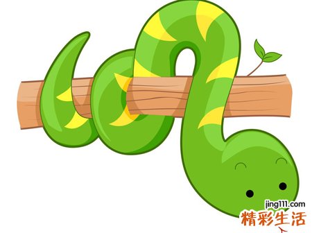 梦见蛇咬人流了好多血，女人梦到蛇咬人预示着什么