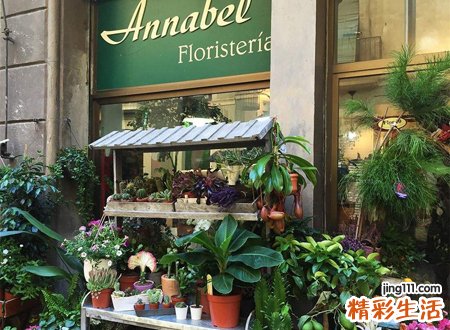 吸引人潮一点的花店名字，文艺简约的花店店名