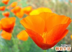 两个字的个性qq群名字，最好听的简单群聊名字