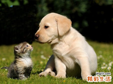 非常绝情伤感的微信名字,狠心绝情的高冷昵称