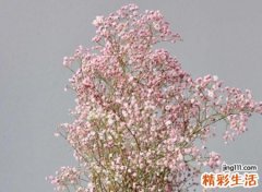 伤感无极限的青春微信昵称，好听的伤感微信名