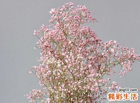 伤感无极限的青春微信昵称，好听的伤感微信名