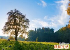 4个字的简单昵称，气质淡淡的四字微信网名