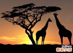 4字cp名字，四个字的微信情侣网名一对