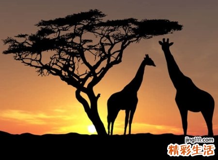 4字cp名字，四个字的微信情侣网名一对
