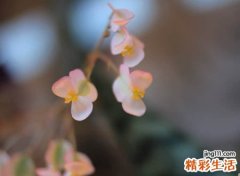 古风四字唯美网名，古韵遗风的4个字唯美昵称