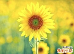 快手二字网名，两个字的快手唯美名字