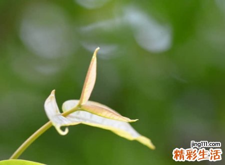 冷酷无情的冰冷昵称，痛到心碎的微信伤感网名