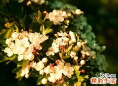成熟有深度的哲理网名，抖音昵称人无觅处心声有否偏差
