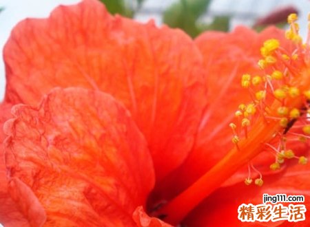 初恋般美好的唯美昵称，恋爱网名被偏爱的人有恃无恐