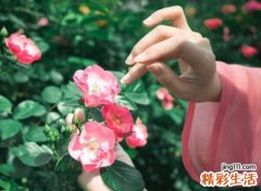 高雅有气质的微信昵称，霸气冷酷的高冷网名