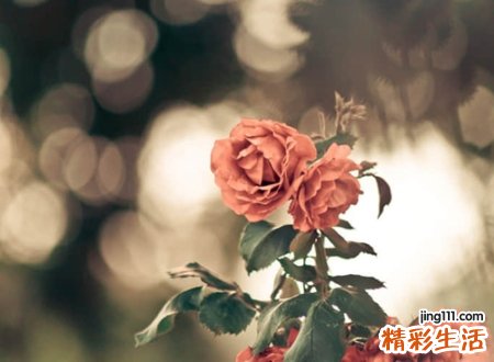 丧一点的网名，颓废伤感的抖音最火昵称