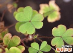 有意境的古风二字昵称，唯美的2个字微信网名