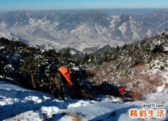 梦见鹅毛大雪纷飞下了一地