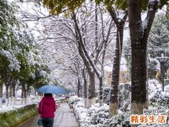 梦见冰天雪地中行路难