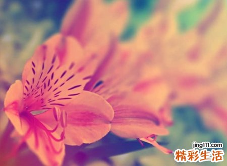 好听的二字网名，简单的两个字唯美名字