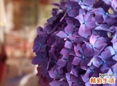 分手后心疼的网名，关于分手的伤感微信名字