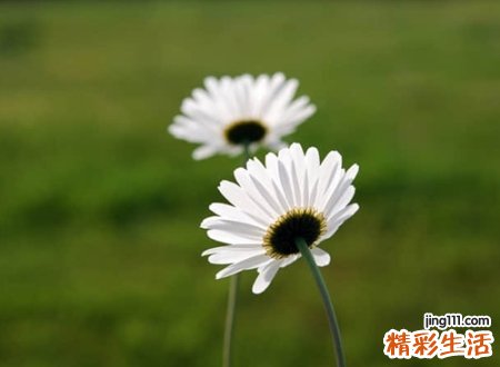 经典怀旧风格的微信名称，一些致逝去青春的微信名