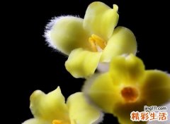有意境诗意浓浓的微信古风名字，唯美网名红尘一笑醉倾城