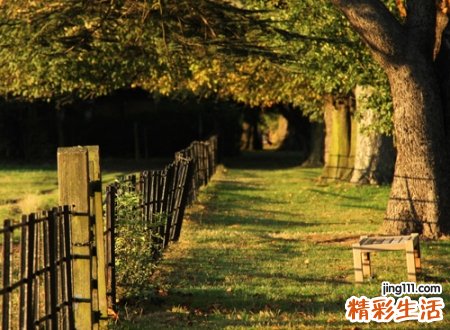 凄美优雅略带忧伤的古风名字，孤寂伤感的悦色微信网名