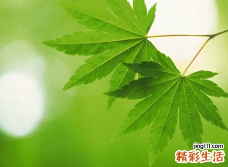 森系小清新独一无二的伤感名字，简单气质的微信网名