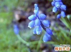 唯美押韵有意境的古风名字，有诗意押韵顺口的伤感网名