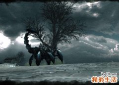女人梦见天气阴沉黑暗乌云密布