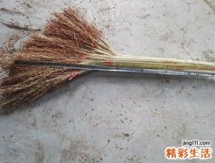 梦见捡了一把笤帚去扫大街