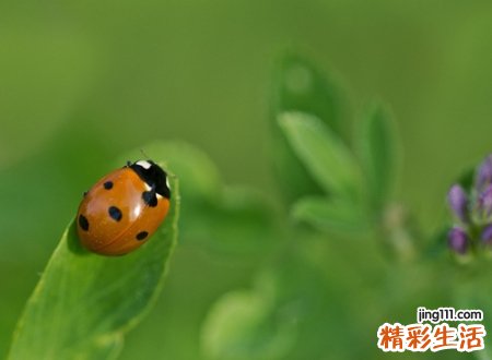 独一无二好听的网名最新版，霸气高端独特的微信名