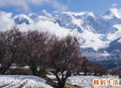 优雅好听诗意足足的网名，简单又含深意的微信昵称
