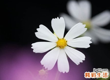最短最好听的一个字qq昵称，简单网名一个字高冷古风