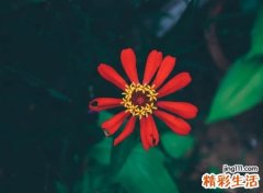 今年最红最好听的网络名字，洋气时代感强的最牛网名