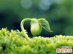 怀念曾经的微信名，写进你的心窝回忆青春的网名