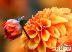 猥琐重口味比较污的网名，二货老司机专属混蛋昵称