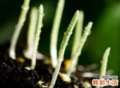 独特简单的qq个性名字，最有气质的大气网名