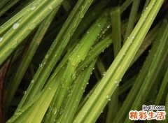 让人感觉失落的伤感qq网名，彻底寒心的伤感昵称