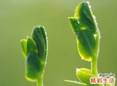 致青春的微信名字，阳光提神好听的青春网名