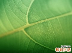 有文化成熟内涵的网名，深得上层人士喜爱的高雅昵称