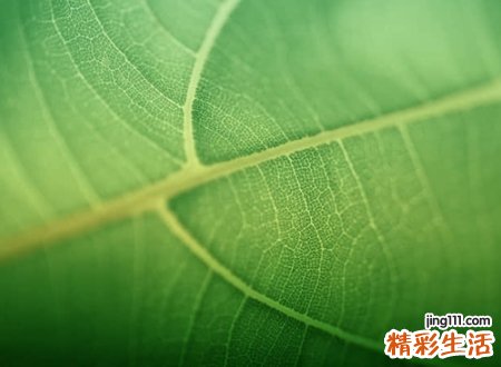 有文化成熟内涵的网名，深得上层人士喜爱的高雅昵称