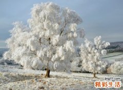 梦见下雪是什么意思，女人梦见下雪雪花飘飘