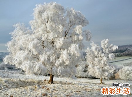 梦见下雪是什么意思，女人梦见下雪雪花飘飘