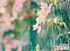 带你潇洒带你嗨的极度火爆网名，快手昵称冲破思想的枷锁