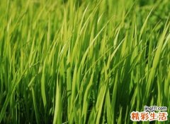 成熟有内涵的微信名字，精辟有深意引人深思的网名