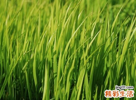 成熟有内涵的微信名字，精辟有深意引人深思的网名