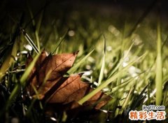 心烦心累心情差的颓废网名，伤感昵称情深缘浅爱恨两难